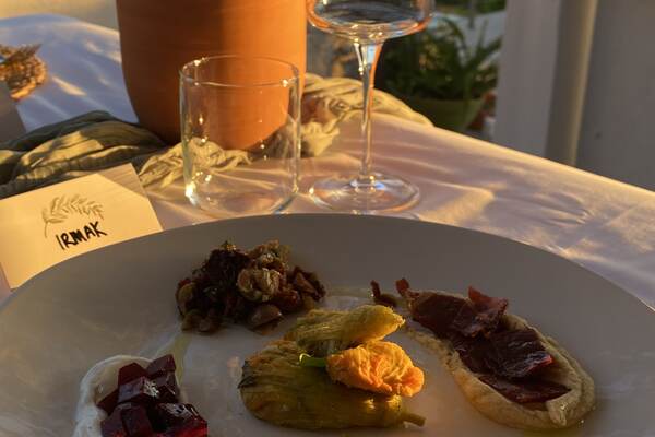 Aegean meze plate with sea view